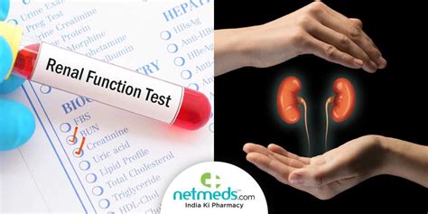 dropped kidney test|interpreting kidney disease results.